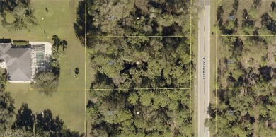 Lehigh Acres Area Lot For Sale in Lehigh Acres Florida
