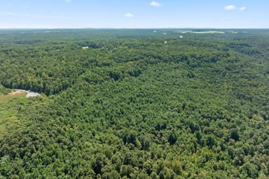 (private lake, pond, creek) Acreage For Sale in Spencer Tennessee