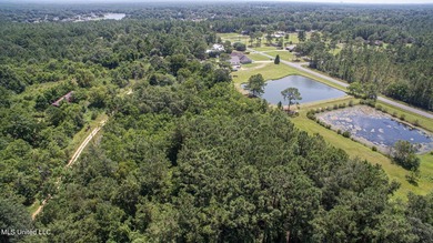 12+/- acres located in the Orange Grove area of Gulfport - photo 2
