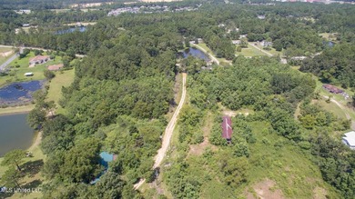12+/- acres located in the Orange Grove area of Gulfport - photo 10