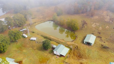 Locust Fork River - Jefferson County Home For Sale in Dora Alabama