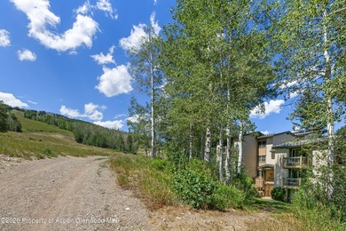 Experience the ultimate alpine lifestyle in this recently - photo 13