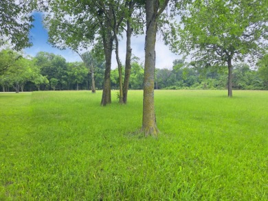 Lot 5 & 6 Francisco Bay Dr - photo 15