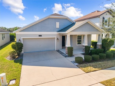 Buck Lake - Osceola County Home For Sale in Harmony Florida