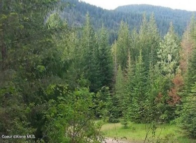 Lake Pend Oreille Lot Sale Pending in Bayview Idaho
