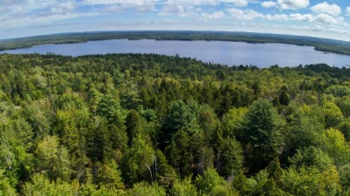 Hadley Lake Acreage For Sale in East Machias Maine
