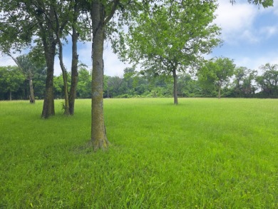Lot 5 & 6 Francisco Bay Dr - photo 9