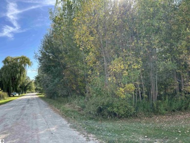 Lake Huron - Arenac County Lot For Sale in Standish Michigan