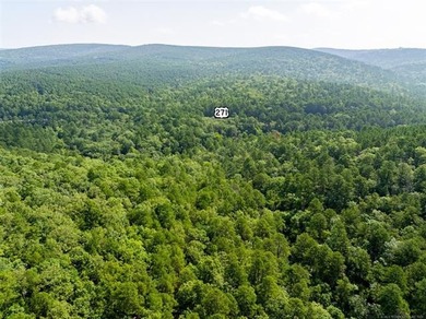 30 mol Acres With Highway 271 Frontage | Scenic Creek | - photo 12