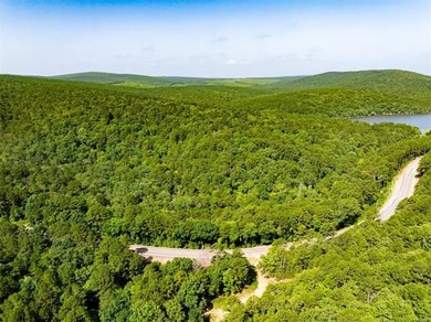 30 mol Acres With Highway 271 Frontage | Scenic Creek | - photo 13