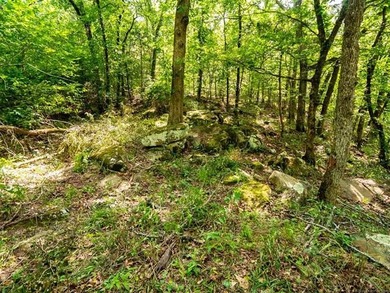 30 mol Acres With Highway 271 Frontage | Scenic Creek | - photo 17