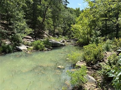 30 mol Acres With Highway 271 Frontage | Scenic Creek | - photo 23