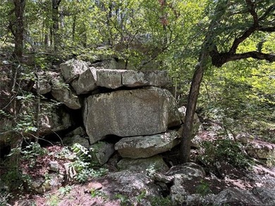 30 mol Acres With Highway 271 Frontage | Scenic Creek | - photo 27