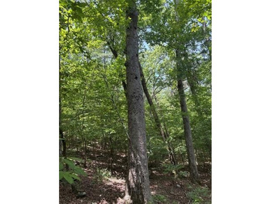 30 mol Acres With Highway 271 Frontage | Scenic Creek | - photo 29