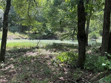 30 mol Acres With Highway 271 Frontage | Scenic Creek | - photo 33