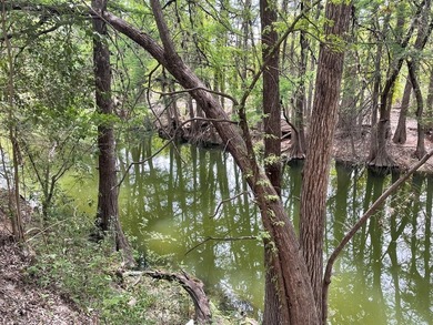 Turn key rental property on the Guadalupe River priced below tax - photo 38