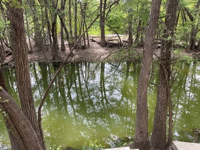 Turn key rental property on the Guadalupe River priced below tax - photo 39