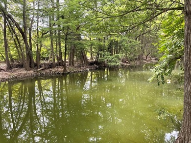 Turn key rental property on the Guadalupe River priced below tax - photo 43
