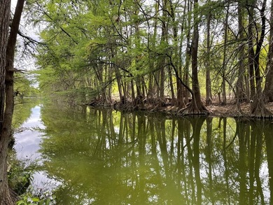 Turn key rental property on the Guadalupe River priced below tax - photo 44