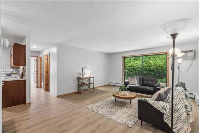 Lake Condo For Sale in Wayzata, Minnesota