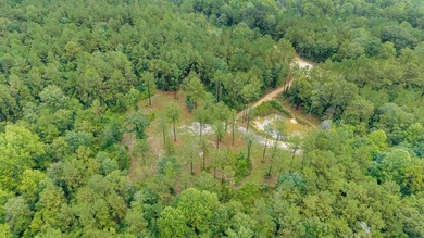 Beautiful tract of land with over 30 acres that joins the city - photo 13