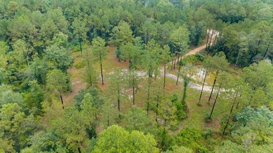Beautiful tract of land with over 30 acres that joins the city - photo 14