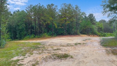 Beautiful tract of land with over 30 acres that joins the city - photo 17