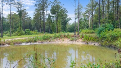 Beautiful tract of land with over 30 acres that joins the city - photo 18