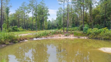 Beautiful tract of land with over 30 acres that joins the city - photo 19