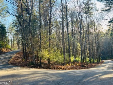 Lake Lot For Sale in Ellijay, Georgia