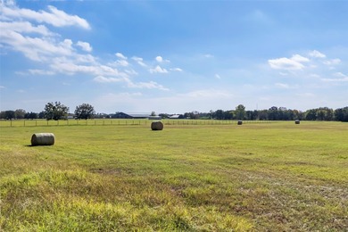 BEAUTIFUL PIECE OF LAND ON THE BEST SOIL! This stunning piece - photo 23