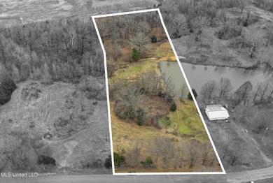 (private lake, pond, coastal) Acreage For Sale in Senatobia Mississippi