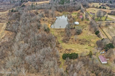 Owner Financing Available!! Enjoy 3.8 acres in Senatobia --the - photo 3