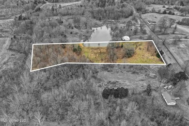 Owner Financing Available!! Enjoy 3.8 acres in Senatobia --the - photo 4
