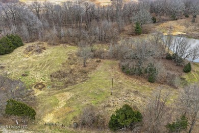 Owner Financing Available!! Enjoy 3.8 acres in Senatobia --the - photo 5