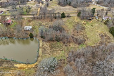 Owner Financing Available!! Enjoy 3.8 acres in Senatobia --the - photo 6