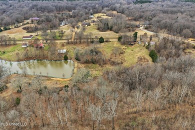 Owner Financing Available!! Enjoy 3.8 acres in Senatobia --the - photo 7