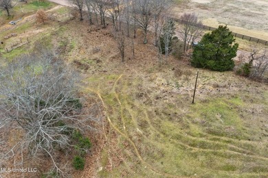 Owner Financing Available!! Enjoy 3.8 acres in Senatobia --the - photo 8