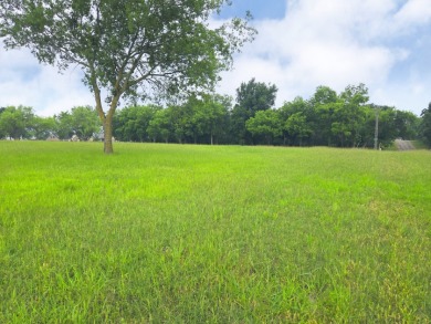 Lot 5 & 6 Francisco Bay Dr - photo 22