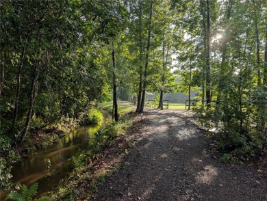 Lake Acreage For Sale in Chuluota, Florida