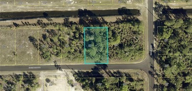 Lehigh Acres Area Lot For Sale in Lehigh Acres Florida