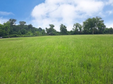 Lot 5 & 6 Francisco Bay Dr - photo 10