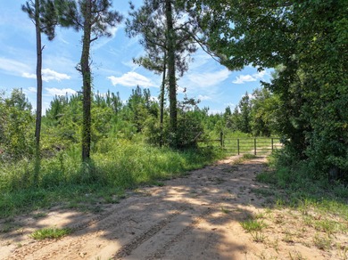 Leaf River Acreage For Sale in Petal Mississippi