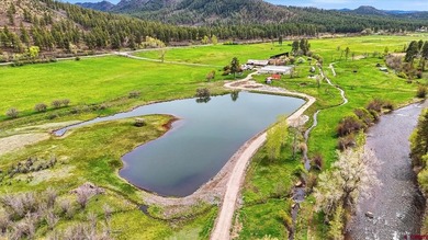 Ashley Blackmore, Blackmore Group,,,: Exceptional 106-acre new - photo 32