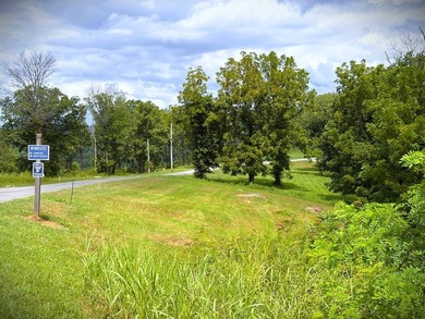WELCOME TO THE POINTE. This lot features both the beauty of - photo 11