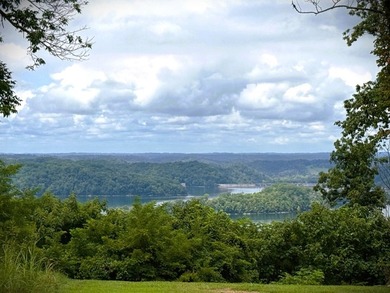 WELCOME TO THE POINTE. This lot features both the beauty of - photo 12