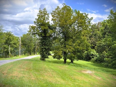 WELCOME TO THE POINTE. This lot features both the beauty of - photo 13