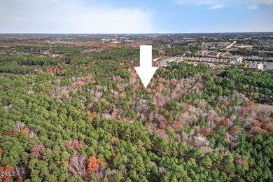 Highly sought after South Durham land offering of just under 28 - photo 14