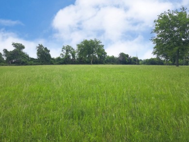 Lot 5 & 6 Francisco Bay Dr - photo 6