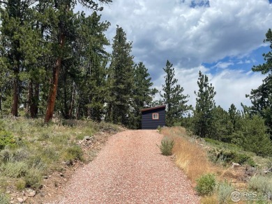 Lake Acreage For Sale in Red Feather Lakes, Colorado